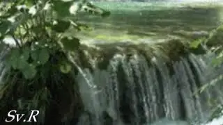 ЧИТАЮ СТИХИ: