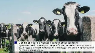 Итоги недели 9-14 января 2024 г.