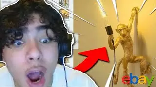 THEY TOLD ME TO BUY THIS !!