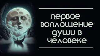 Первое воплощение души в человеке. Жизнь по программе