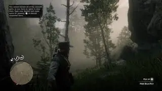 Red Dead Redemption 2_2024