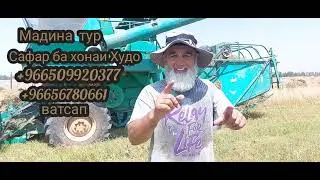 ГАНДУМДАРАВИ БОБОШ.