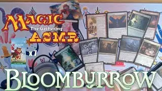 ASMR MTG Bloomburrow Pack Opening🎴 - Soft Whispering: Cutie Danger Critters from NEW SET!