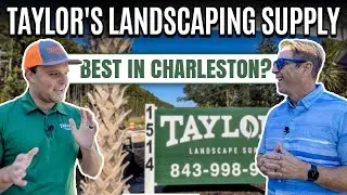 Taylors Landscape - Best in Charleston?