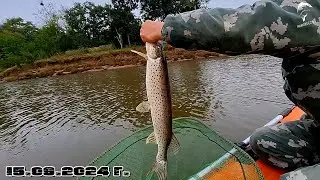 ВОТ ОНА!!!ДОЛГОЖДАНЯ ОСЕННЯЯ ЩУКА. КЛЁВ НАС ПОРАДОВАЛ