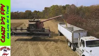 Oglesby Farms Harvest Time 2020