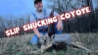 Tennessee Coyote Hunt - Sneaky Coyote Gets Dropped