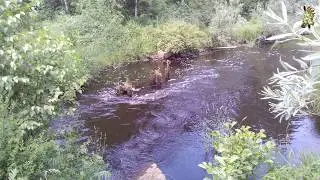 Болотная Мещера/ Стекольный завод Мишеронь/оз. Кендур/речки Ушма Большая и Малая/ Церковь в Баженово