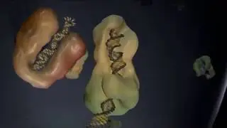 РНК-интерференция