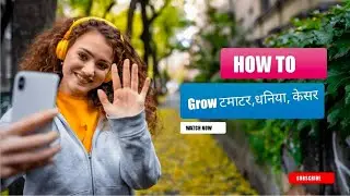 Tmater kaise lgaye । vegetables at home | घर पर सब्जियां लगाए