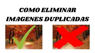 Como Eliminar Imágenes duplicadas 2021