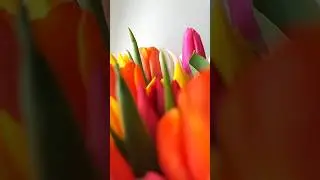 Как круто сфотографировать цветы 
