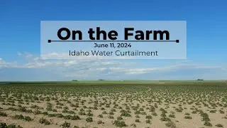 On the Farm - June 11, 2024