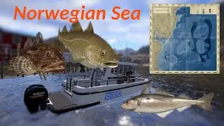 Norwegian Sea | Russian Fishing 4 rf4 spot #7
