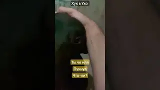ты че мля пукнул или я пукнул