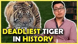 436 Humans KILLED! The TERRIFYING Champawat Tiger!