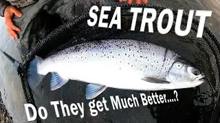 Sea Trout Has My Reel Screaming.......... Do They Get Much Better?