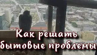 Как решать бытовые проблемы в семье, пример из жизни семьи