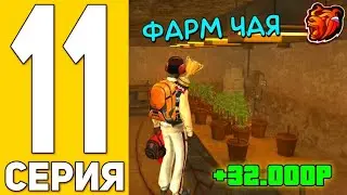 ПУТЬ БИСТА на БЛЭК РАША #11 - НОВЫЙ ЗАРАБОТОК ФАРМ ЧАЯ на BLACK RUSSIA