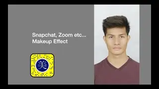 美肌 小顔 Snapchat Beauty Effect Zoom Twitch