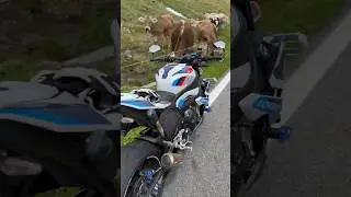 На Мотоцикле в Горах Смотреть со звуком!  #motorcycle #sorts #bmw