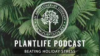 Beating Holiday Stress - Plantlife Podcast #69