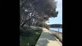 Остров Лошинь, парк Čikat