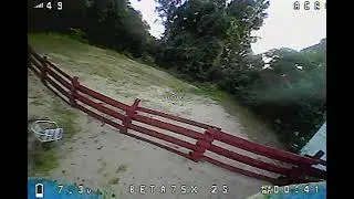 Beta 75x in the back yard