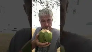 Кокос из горлышка