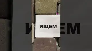 Присоединяйся к нашей большой команде 🤩