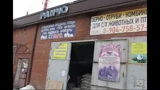 Николаевские голуби Сергея Родионова. (Один день из жизни голубевода). Волгоград. Часть 149