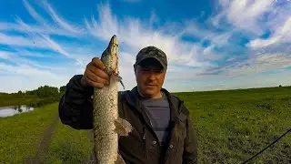 Spinning for PIKE on a small river in Siberia. 2020 Fishing Trip!