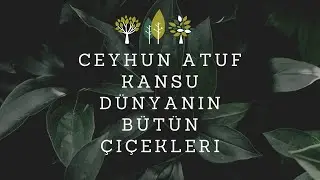 Dünyanın bütün çiçekleri | Ceyhun Atuf Kansu