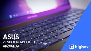 ASUS Zenbook 14X OLED apžvalga | BIGBOX.LT