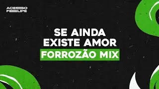 SE AINDA EXISTE AMOR (FORROZÃO MIX)