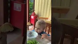 2 июня 2024 г.