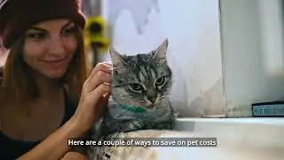 Ways to Save on Pet Expenses