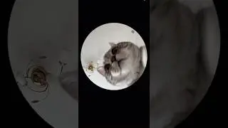Наконец-то я сделала это!!😂