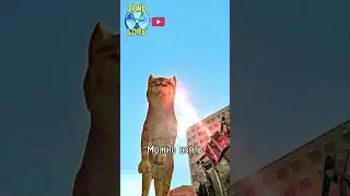Любимые Котики теперь в Garry's Mod!  #garrysmod  #gmod #mods  #shorts #cats