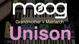 Moog : Unison of 8 oscillators 