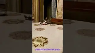 Kusturica steals candy