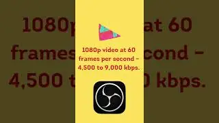 OBS Output Bitrate  