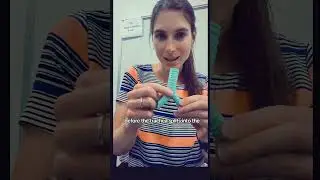 Learn a bit about the trachea