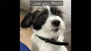 Love You, Mom! Happy Mother’s Day!