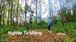 Karma for Talking Nonsense: The Wandering Man in the Forest, Horror Movie