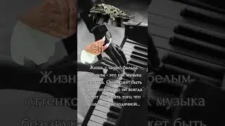 Чернобелаяжизнь