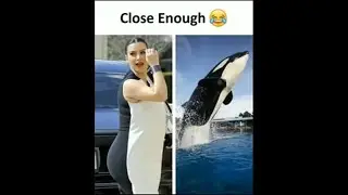Close enough #shorts #youtubeshorts #memes #funnymemes