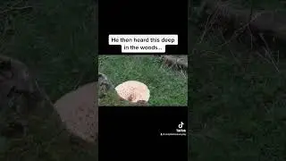 Scariest Things Recorded In The Woods!