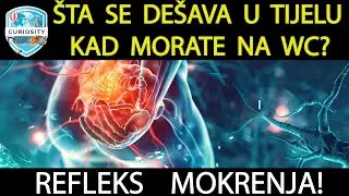 Refleks mokrenja   Živčani nadzor nad mokrenjem itd. Dr#122