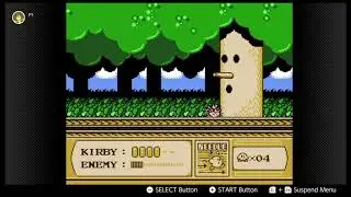 Kirby's Adventure World Record